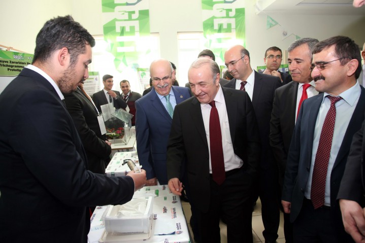 Fikri olan beri gelsin