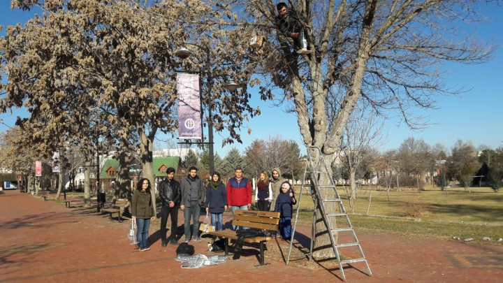 kuş yuvası çalışması 2