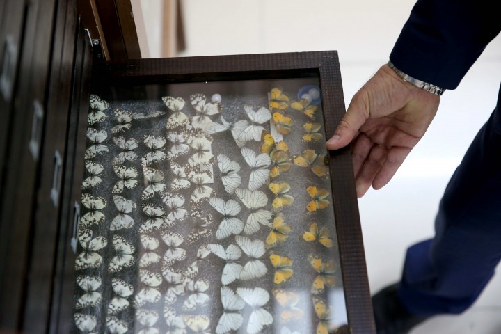 Gaziantep'in biyoçeÅitliliÄi belirleniyor