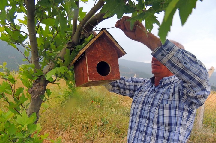 Yüksekokul Öğrencileri Kuşlar İçin Yuva Yaptı (3)