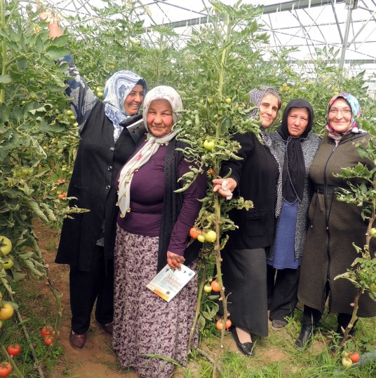 Girişimci Çiftçi Hanımlardan İslahiye MYO ve Serasına Ziyaret - (5)
