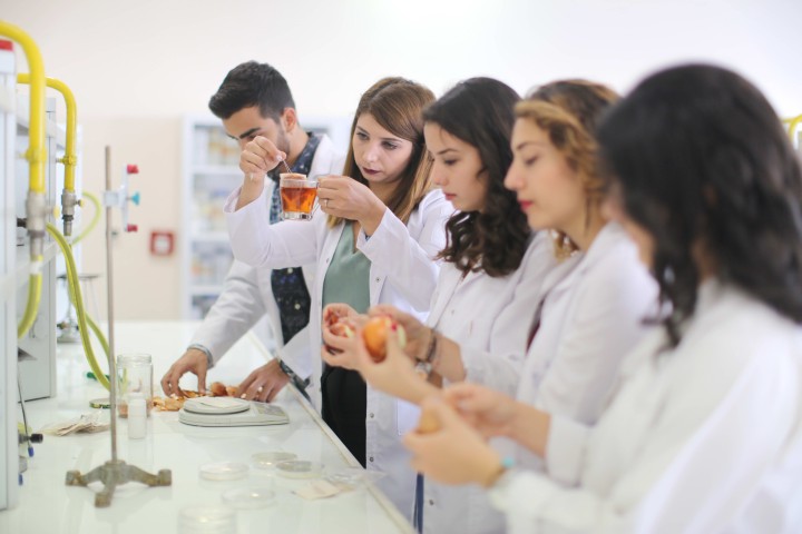 GAÜN’LÜ ÖĞRENCİLER SOĞAN KABUĞUNDAN ÇAY ÜRETTİ - (1)