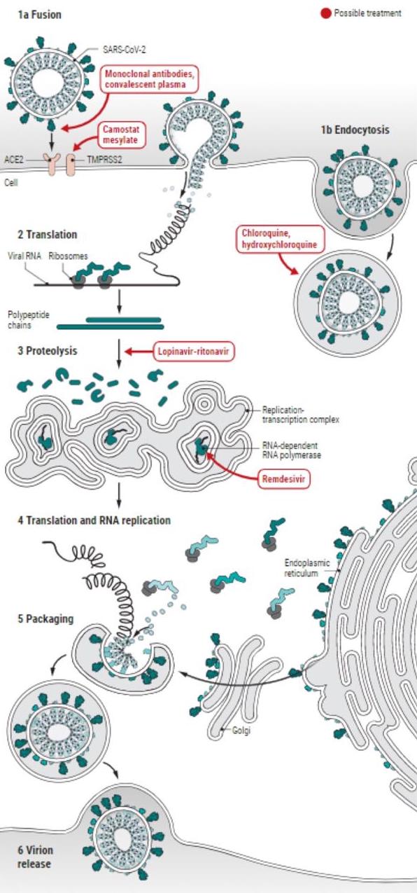 Rektör Gür’den COVİD 19 için iki yerli ve milli ilaç müjdesi daha - (3)