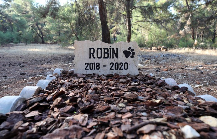 GAÜN’DEN HAYVANSEVER ÖĞRENCİYE DESTEK - (4)