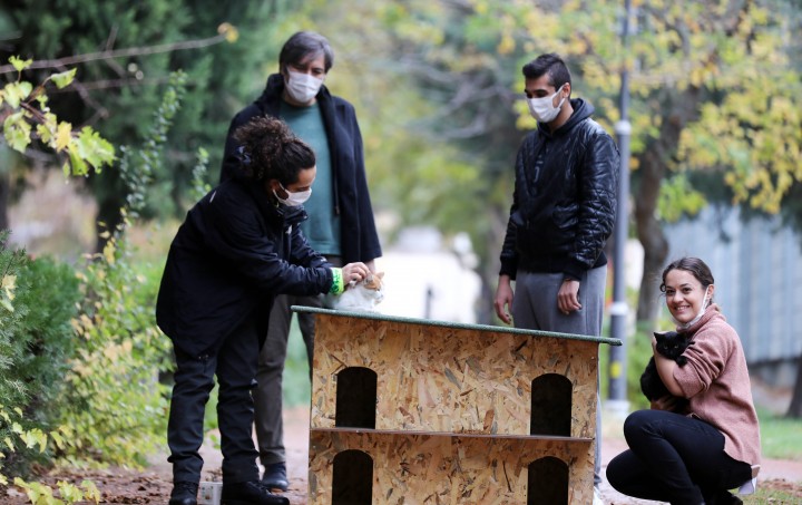 SOKAKTAKİ CANLAR İÇİN DUYARLI DAVRANIŞ_