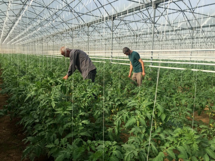 iSLAHİYE MESLEK YÜKSEKOKULU-9